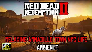 "Red Dead Redemption 2: Relaxing Armadillo Town NPC Life & Ambience 🌵"