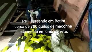 PRF/MG_ apreende 700 quilos de maconha e atinge marca histórica de 25 toneladas apreendidas em 2019