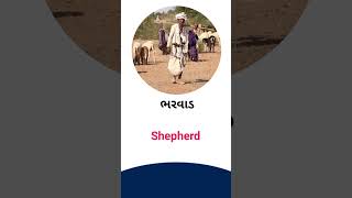 Shepherd meaning in Gujarati - English Dictionary