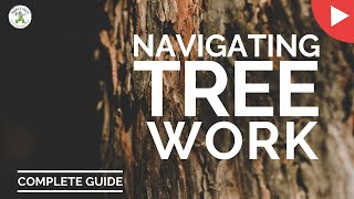 NAVIGATING TREE WORK IN THE SUTHERLAND SHIRE - SHANES TREES