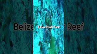 Simple Facts About Belize #viral #fact #facts ##funfac #amazingfacts #amazing_facts #travel #belize