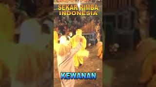 Ndadi...!!! Kewanan SEKAR RIMBA INDONESIA madesan #shorts  #kikopicture