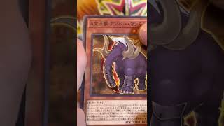 ANIMATION CHRONICLE! The biggest Yu-Gi-Oh! pull of 2023!