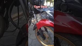 Tiger Revo#honda #tigerrevo #bikelover #feed #shorts #shortvideo