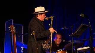 Van Morrison - Live at Orangefield High School - 2014