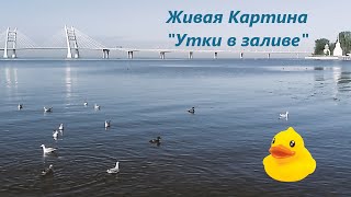 #5.1 Живая картина "Утки" / Live painting "Ducks"