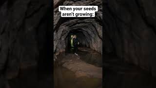 When your seeds aren’t growing…#dowehaveaproblem CREDIT TO @Zayaan4