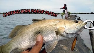 CASTING BARRAMUNDI DI TAMBAK -heri metal fishing