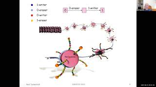 The Epigenetic Consensus Problem