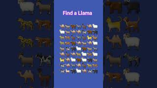 can you find a Llama #ytshorts #llama