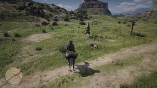 Red Dead Redemption 2 - Need a hand with your horse?