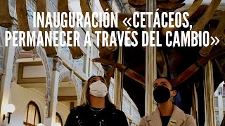 Inauguración exposición «Cetáceos: Permanecer a través del cambio» 🐳🐬🐋