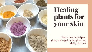 Ayurvedic healing plants for your skin - 5 recipes for healthy skin