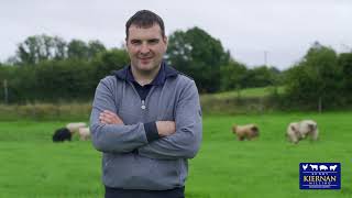 Weanling Boost Testimonial with Kieran Flatley