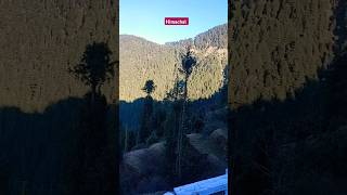 Himachal #shorts #short #youtubeshorts #shortsvideo #subscribe #viralshort #instagram #trending #4k