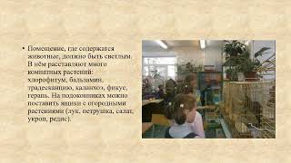 Уход за животными в живом уголке природоведение 6 кл