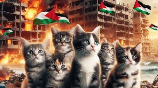 ATUNA TUFULI (BERIKAN KAMI KEBEBASAN) KUCING IMUT NYANYI ATUNA TUFULI #palestina