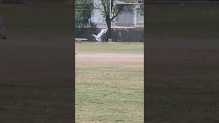 Outstanding Catch By LSCA Sajjid Bao #cricket #cricketcouncilusa #cricketequipment #cricketlover