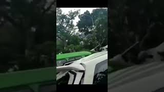 Pohon Tumbang di Pasar Cibinong, Mobil Avanza Penyok