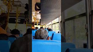 হালকা বাসের রিভিউ #shorts #shortsviral #bus #youtubeshorts