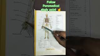 Skeletal System🦴