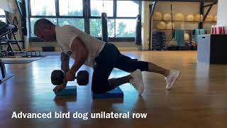 Advanced bird dog unilateral row