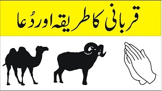 Qurbani ka tarika|qurbani ki dua By Alimahonline  قربانی اور عقیقہ کی دعا