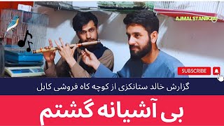 گزارش خالد ستانکزی از کاه فروشی کابل          #tolo #tolonews