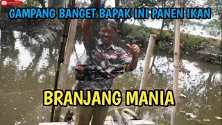 Disini Tempat Ikan Nila Bersemayam pantesan banyak || branjang ikan || hanco ikan || nets fishing