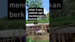 Yuk kita amalkan #motivasi #motivasihidup #sedekah #viralvideo