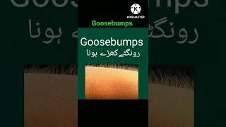 goosebumps meaning in urdu /hindi... what is goosebumps? English Vocabulary, spoken English