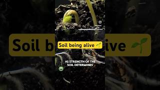 🔴 Importance of Soil 🌱 #savesoil #sadhguru_wisdom #motivation #sadhguruenglish #love #sadhguruspot