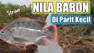 Mancing Ikan Nila Babon Di Parit kecil