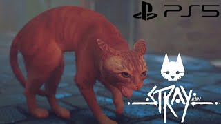 Stray PS5 Gameplay - Dead City