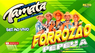 CD AO VIVO YAGO MIX NO FORROZÃO DO PEPÉUASÃO CAETANO  LUXUOSO TAMATÁ O PEIXÃO DA AMAZÔNIA