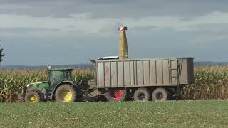 Die Raubkatze zurück im Mais   Claas Jaguar 98O mit Claas Orbis 900 beim Maishäckseln eine Fahrt von