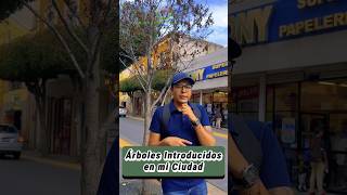 Árboles Introducidos en mi Ciudad: Parte 1🌲🌳‼️ #árboles #plantas #vivero #arboriculture #jardin