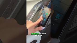 Luxury Car Backseat Controls & Features!