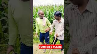 #जिप्सी #desi #tranding #viral #shortvideo