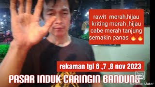 cabe  cabean semakin panas ‼️jeruk jerukan naik #pasarinduk #infoharga Sayuran