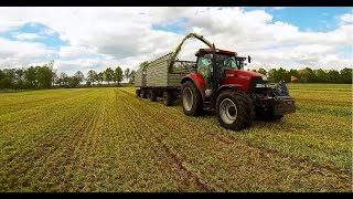 150-ABO-Spezial / Futterroggen mähen, wenden, hächseln mit Claas, Fendt, Case