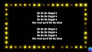 Mircea Eremia - Ilegal (LYRICS/VERSURI)