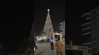 Christmas tree at mall of asia Bangalore #shortvideo #shorts #mallofasia #reels #short #bangalore