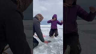 Moosehead Lake togue fishing!