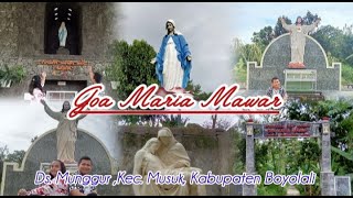 Keindahan Alam di Goa Maria Mawar Boyolali