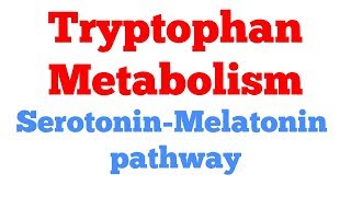 Serotonin pathway || Melatonin pathway || Tryptophan metabolism || #Biochemistry