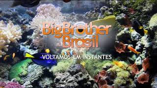 [HD] Descanso de tela do canal Pay Per View do BBB 18