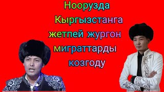 Айтыш Айтыс Салт Ноорузда Кыргызстанга Жетпей Жургон Мигрантарды Козгоду