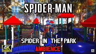 🕷️"Spider-Man in the Park: Relaxing Ambience & Sounds for Study & Relaxation"🌆