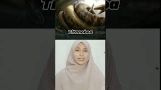 Ular terbesar di dunia!? Bukan Anaconda!